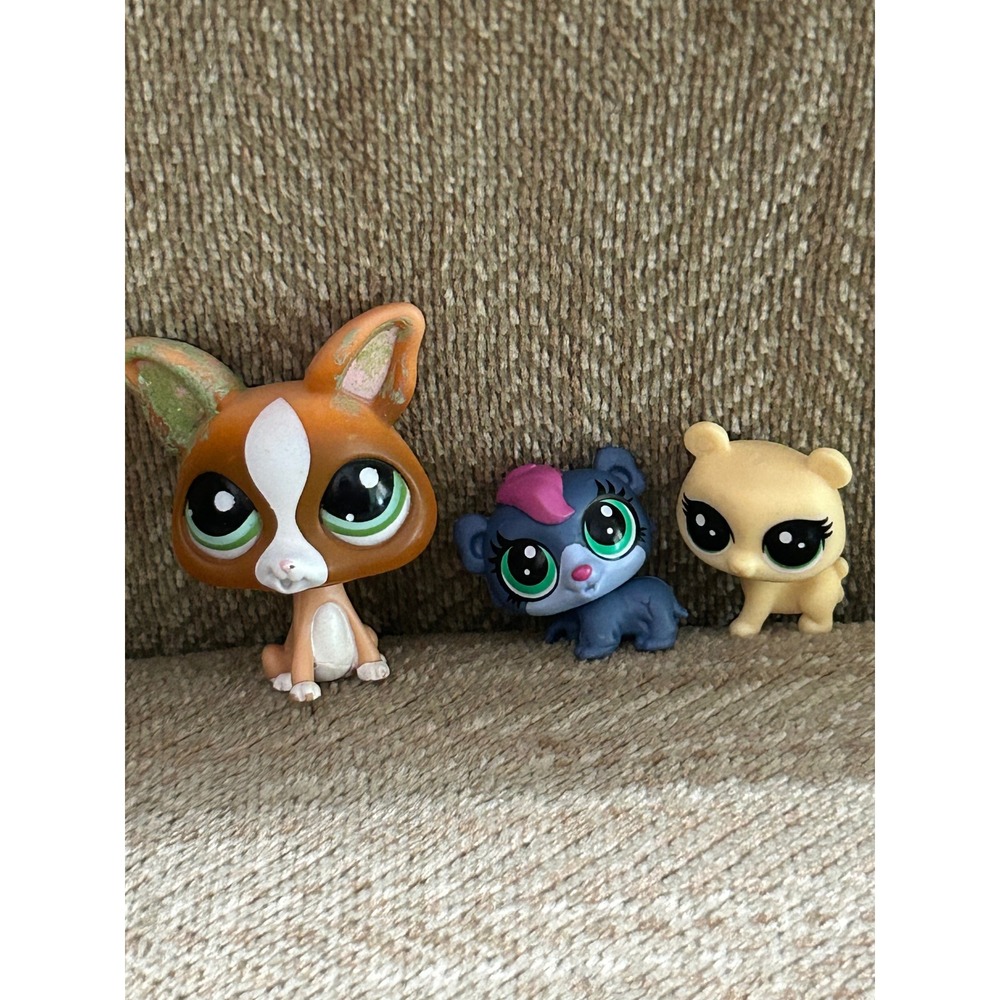Littlest Pet Shop LPS Lot Chihuahua 2307 Blue Bear Tan Kitten Hasbro Figures